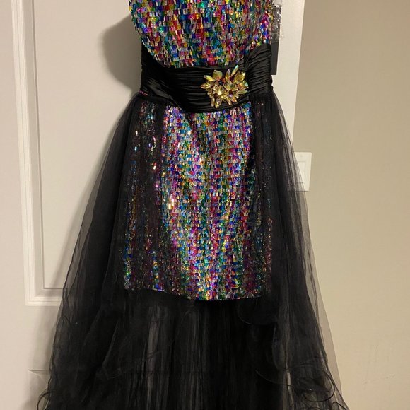 NEW Platinum Label dress, size 8, w/ detachable skirt nwt - Picture 3 of 5